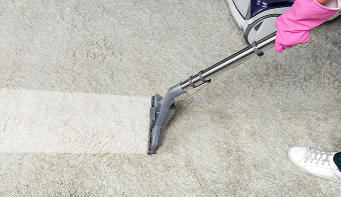 Regular Carpet cleaning fact Regular Carpet cleaning fact