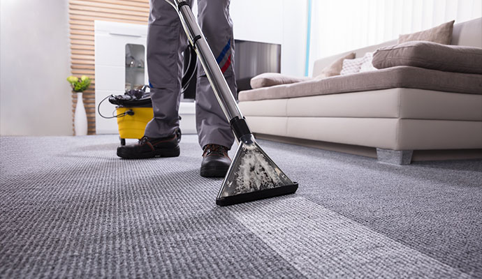 Pros of Local Carpet Cleaning Pros of Local Carpet Cleaning