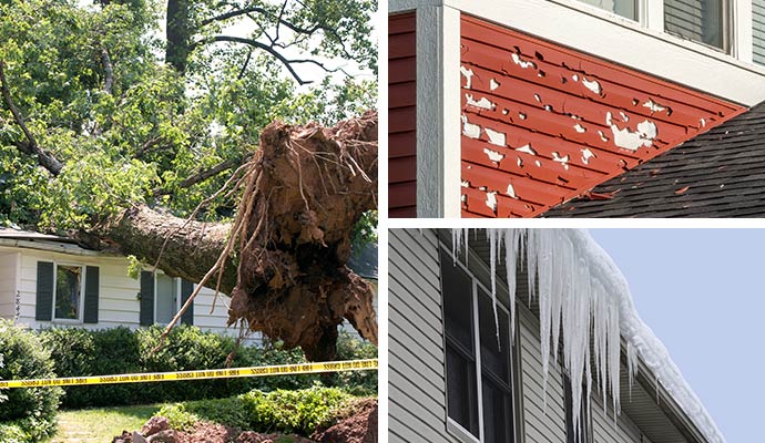 Collage of fallen tree, damaged siding, and roof ice buildup.