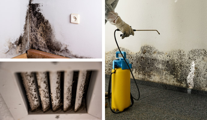 Collage of mold damaged wall, moldy HVAC, and mold remediation service