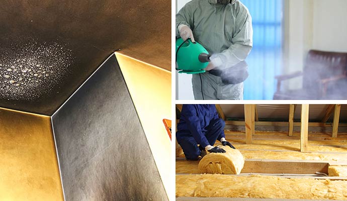 Collage of smoke damage, sanitizing fogger, and insulation removal.