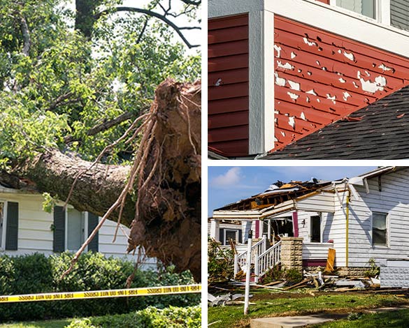 Collage of storm damage, fallen tree, and destroyed roofing.