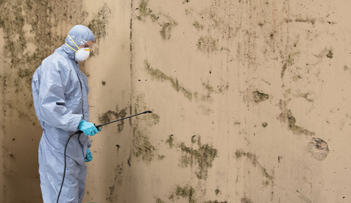 Technician in protective suit spraying treatment on mold-contaminated wall
