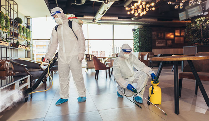 Disinfecting service in restaurant