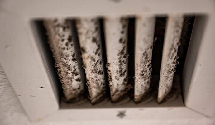 HVAC damaged by mold