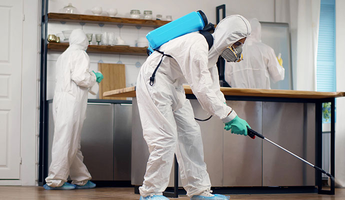 Professional team performing disinfection service