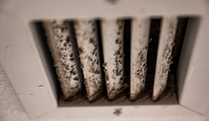 HVAC air vent grille covered in black mold and dust buildup