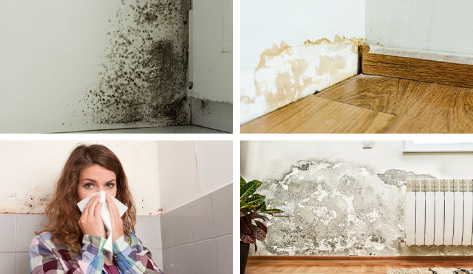 Collage of mold damaged wall, stained wall due to water, damp smell and damaged soft wall