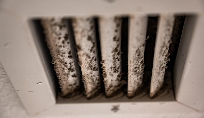 HVAC Mold Remediation in Philadelphia and South Jersey