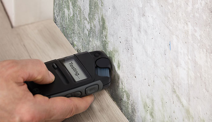 Mold testing service using equipment