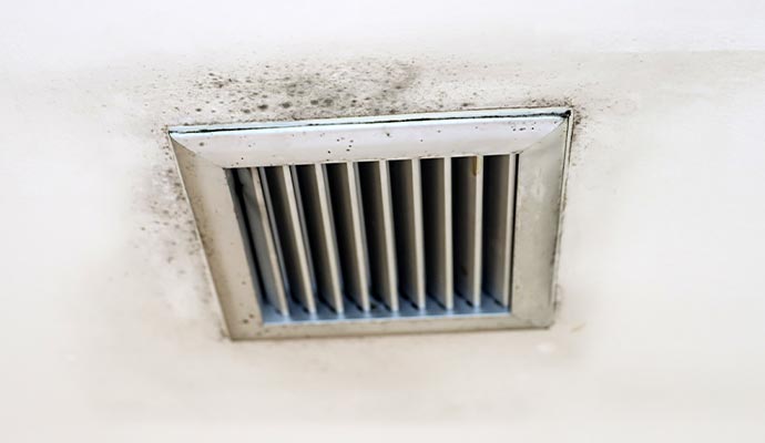 Moldy HVAC vent