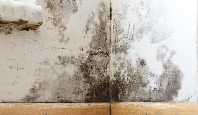 Structural black mold