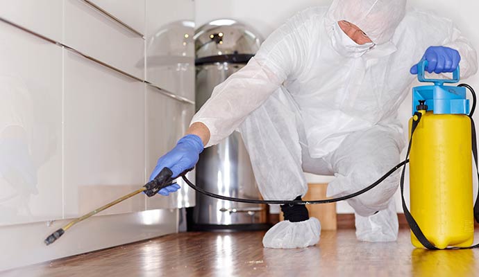 Professional disinfecting sanitization service.