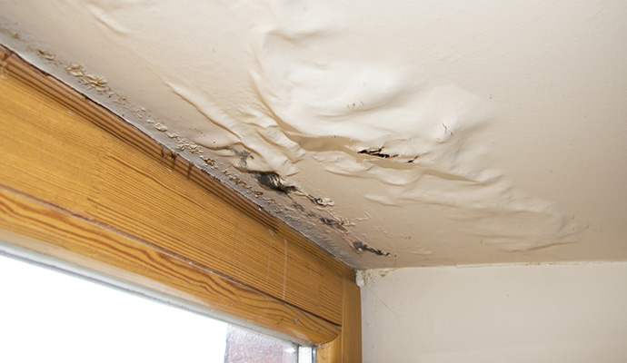 Ceiling drywall paint bubbling and peeling from water leak above window