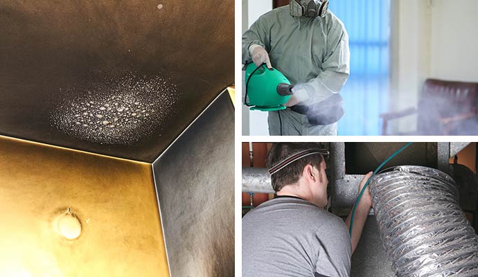 Collage of smoke damage mold fogging HVAC cleaning
