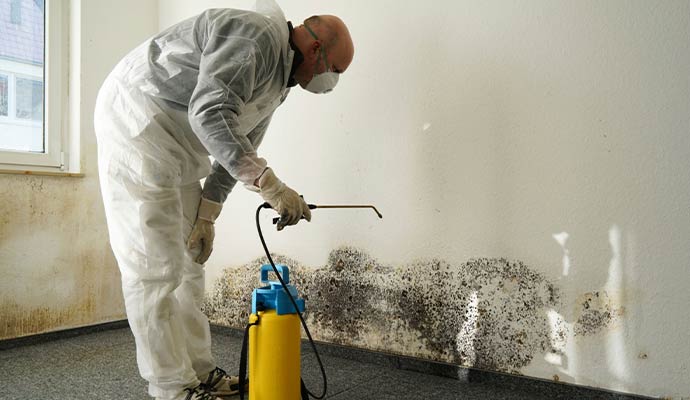 Mold removal specialist spraying wall
