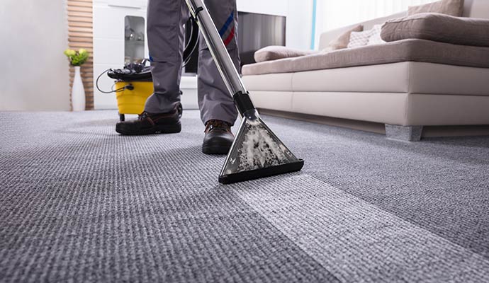 Professional carpet cleaning service