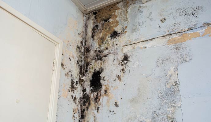 Severe water damage wall