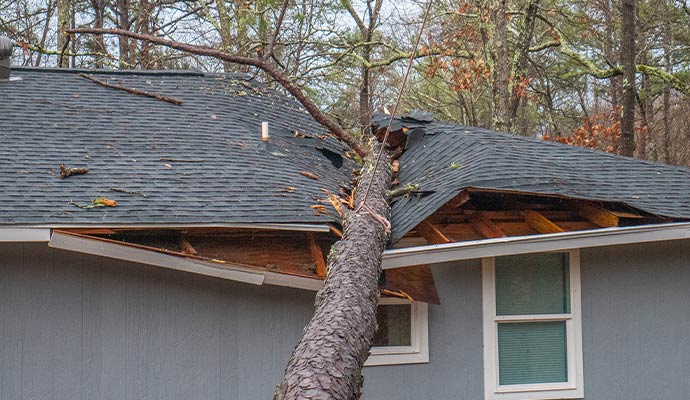 Damaged roof caused by fallen tree