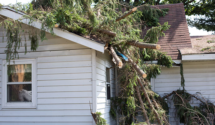 Tree fallen on house causing structural damage