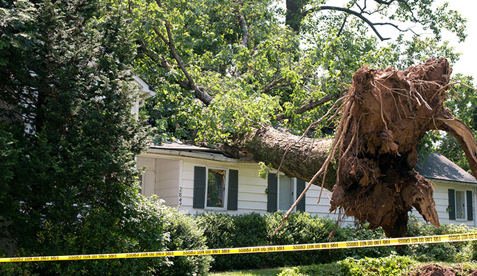 Wind Damage Restoration in Philadelphia and South Jersey