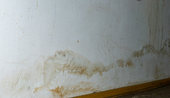 Water stains and mold seepage damage on lower drywall above baseboard