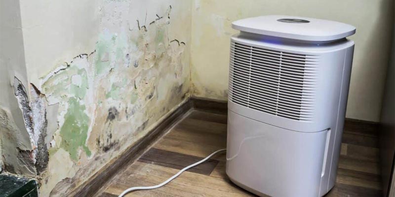 Water Damage Poor Air Quality Water Damage Poor Air Quality