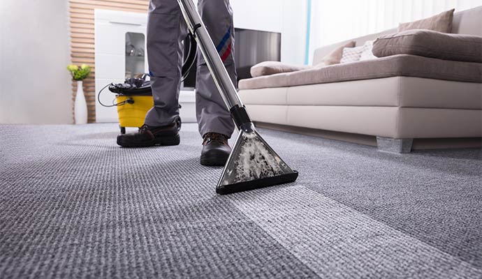 Professional carpet deep drying service