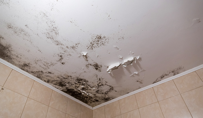 Ceiling damaged by moisture