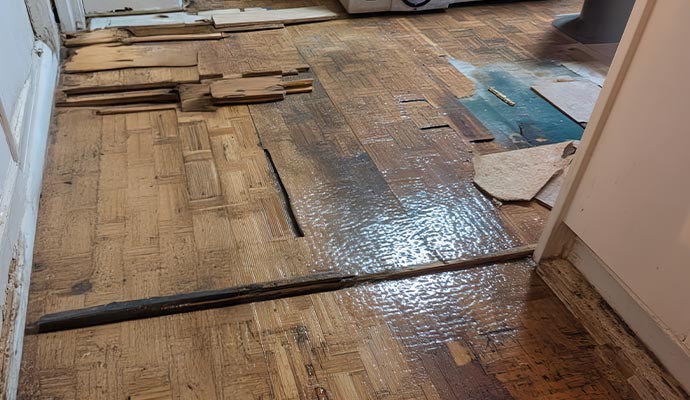 Damaged wood floor