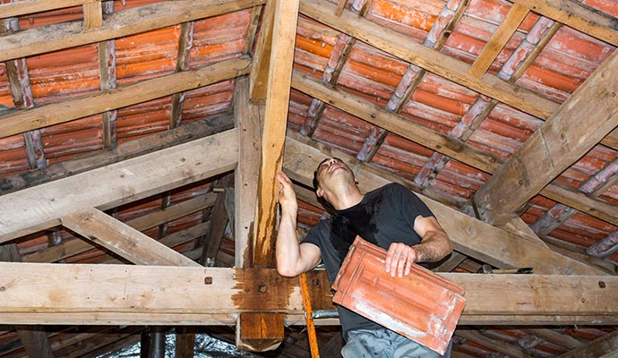 Expert inspecting roof tiles
