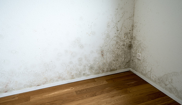 Moisture on the wall