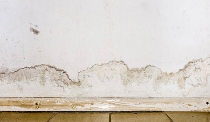 Visible water stains and dampness on a wall and baseboard.