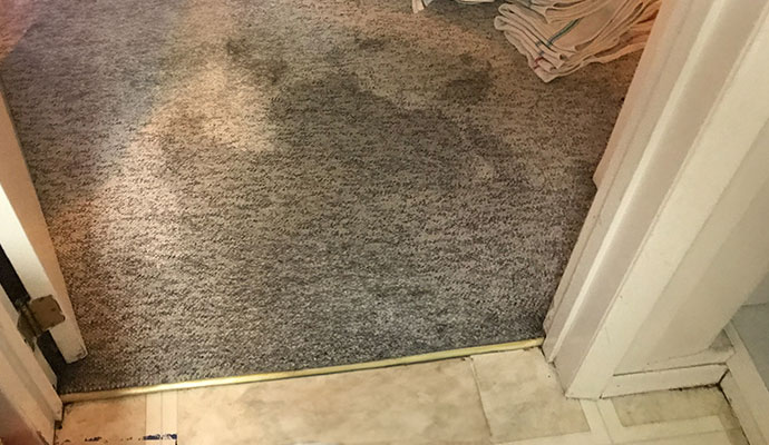 Water damaged carpet