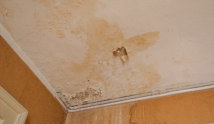 Water damaged ceiling