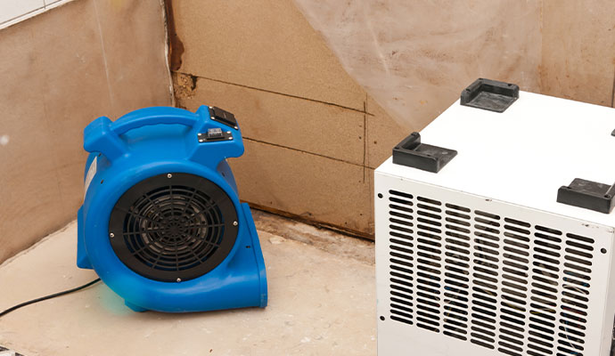 Professional water extraction service Professional water extraction service