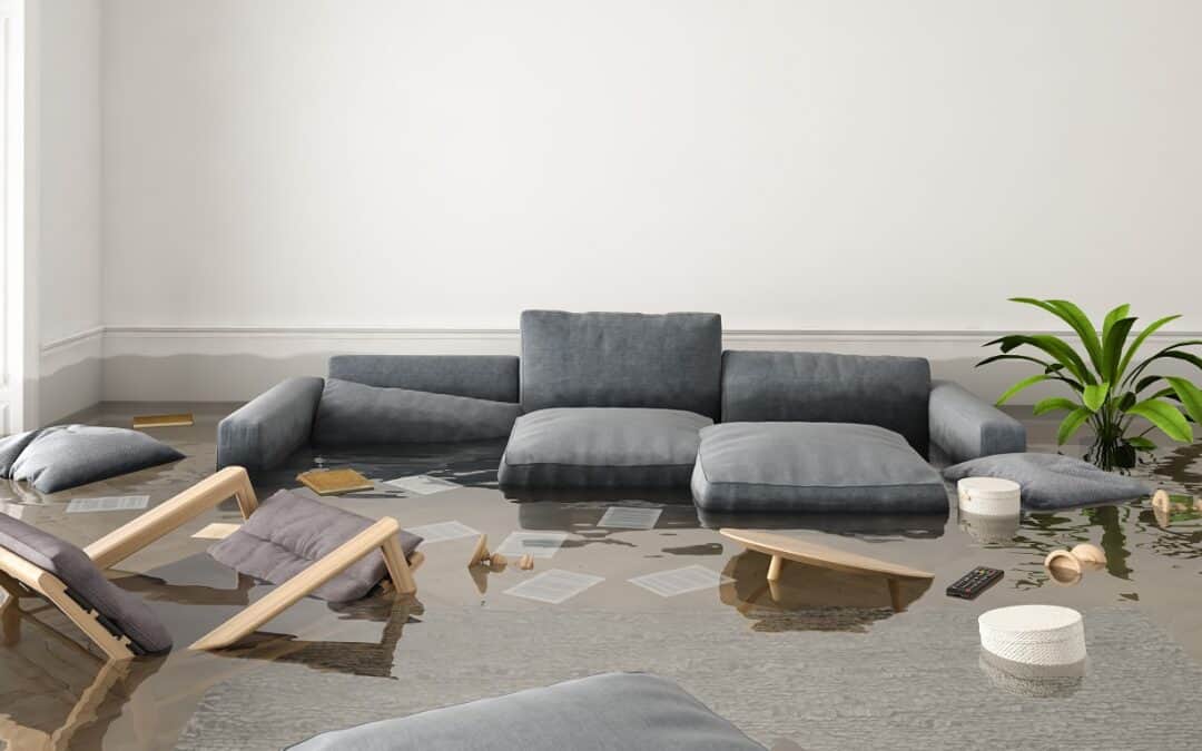 5 Uncommon Facts About Water Damage Issues You Need to Know